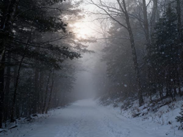 The House at the Edge of the Map